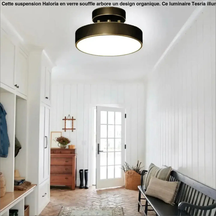 Plafonnier Doré Moderne À Forme Ronde Élégante

