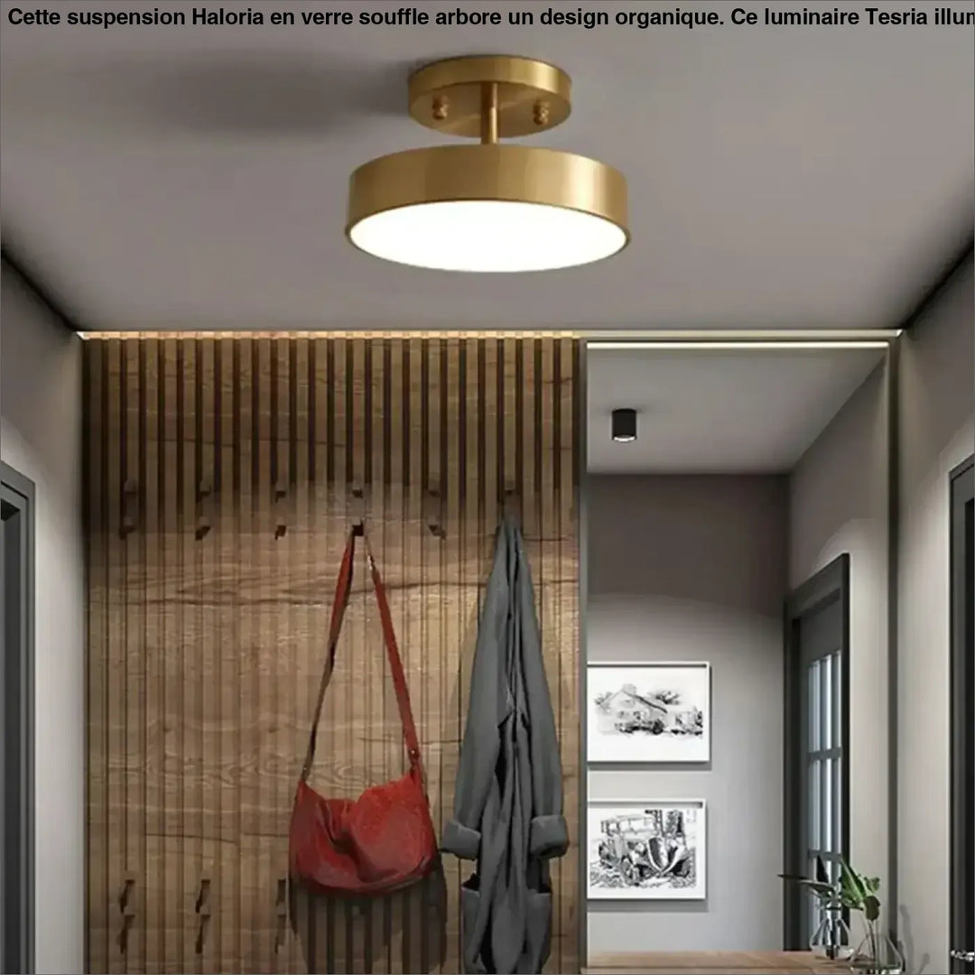 Plafonnier Doré Moderne À Forme Ronde Élégante
