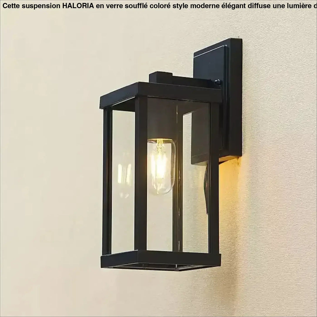 Applique murale noir extérieur en verre clair à la lumière chaude