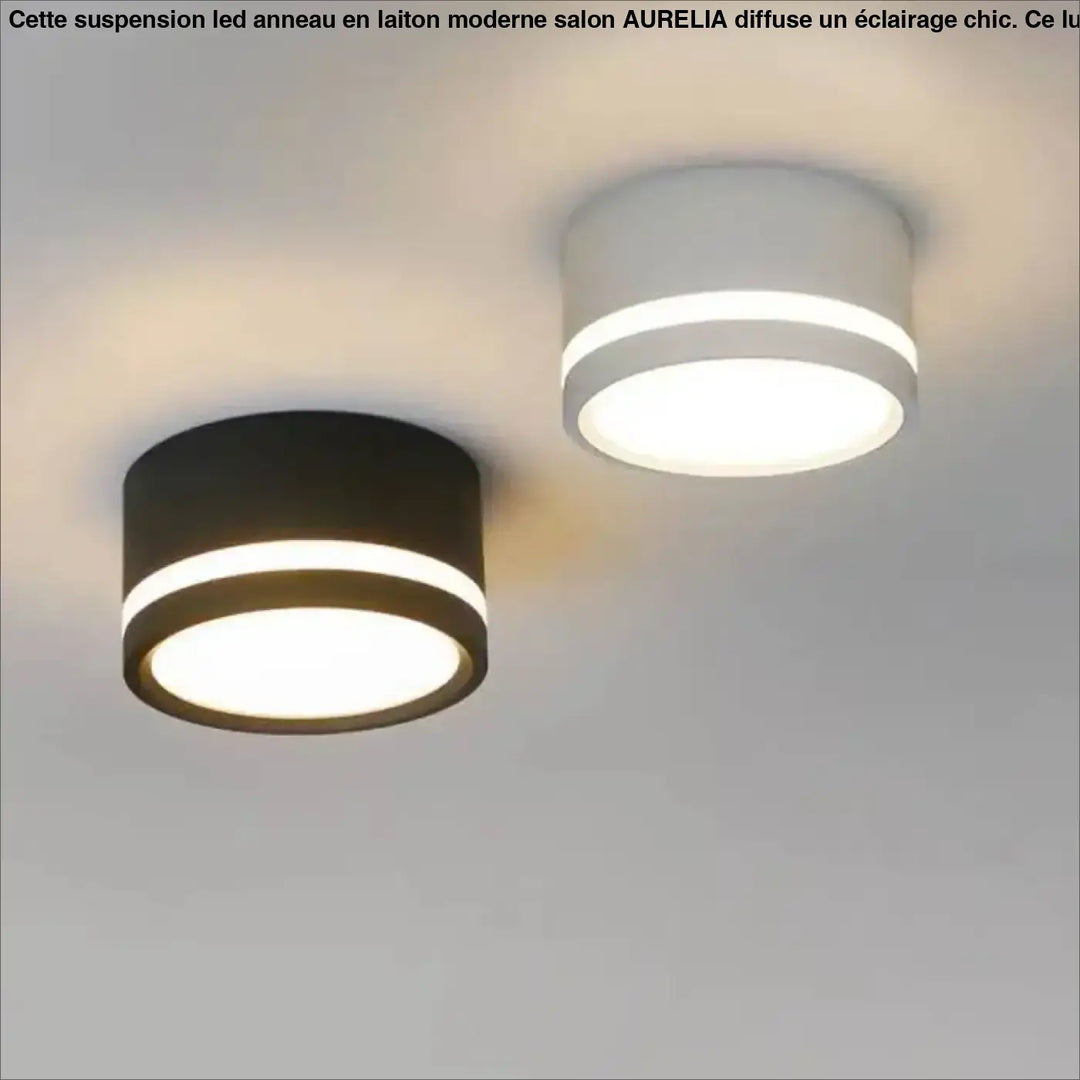 Plafonnier luminaire rond au style minimaliste noir ou blanc