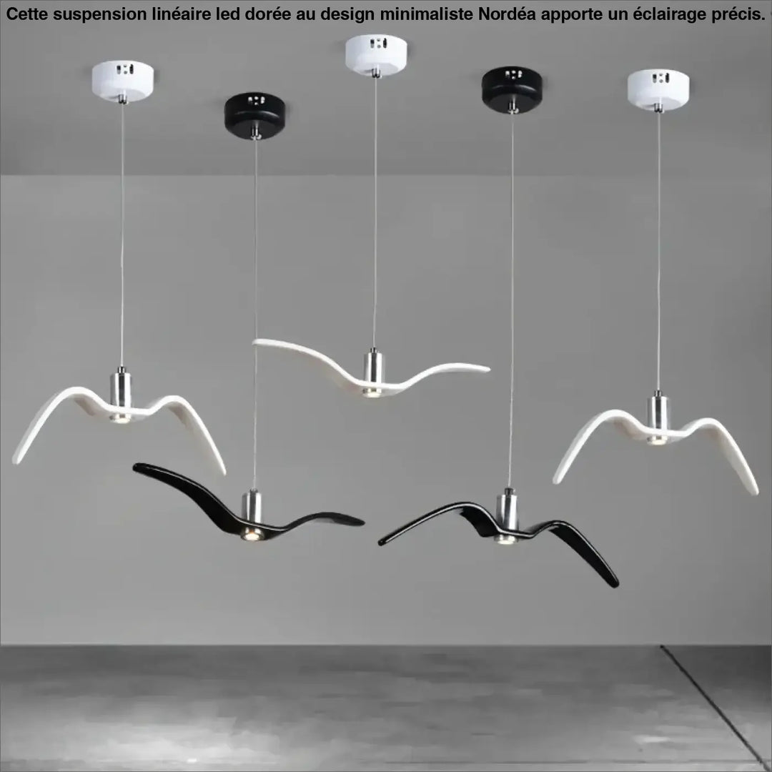 Suspension Luminaire Oiseau À LED Au Design Minimaliste Noir