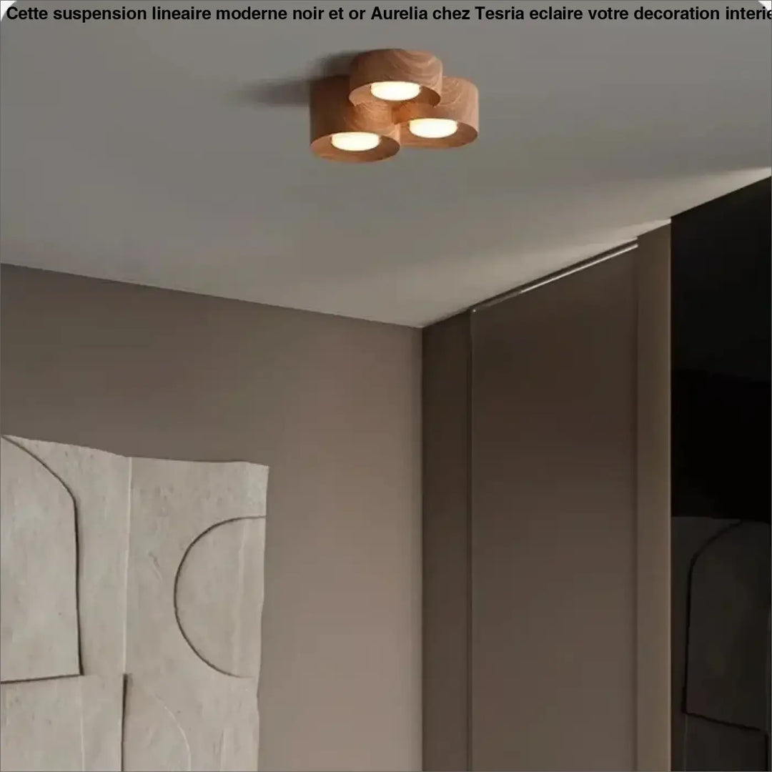 Plafonnier design led compact couleurs marron gris