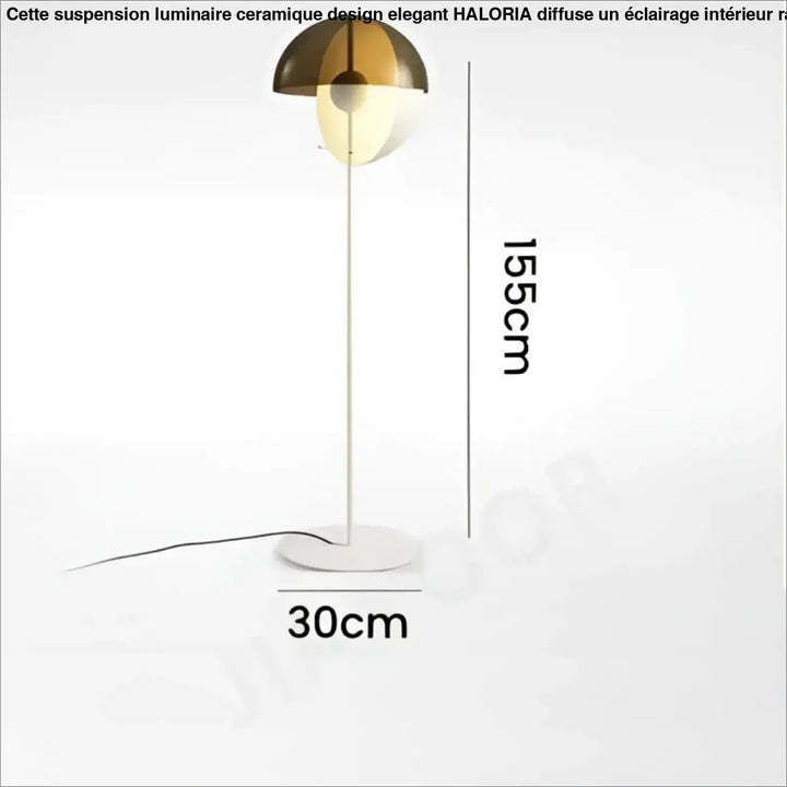 Lampadaire minimaliste noir avec abat jour en verre fumé led