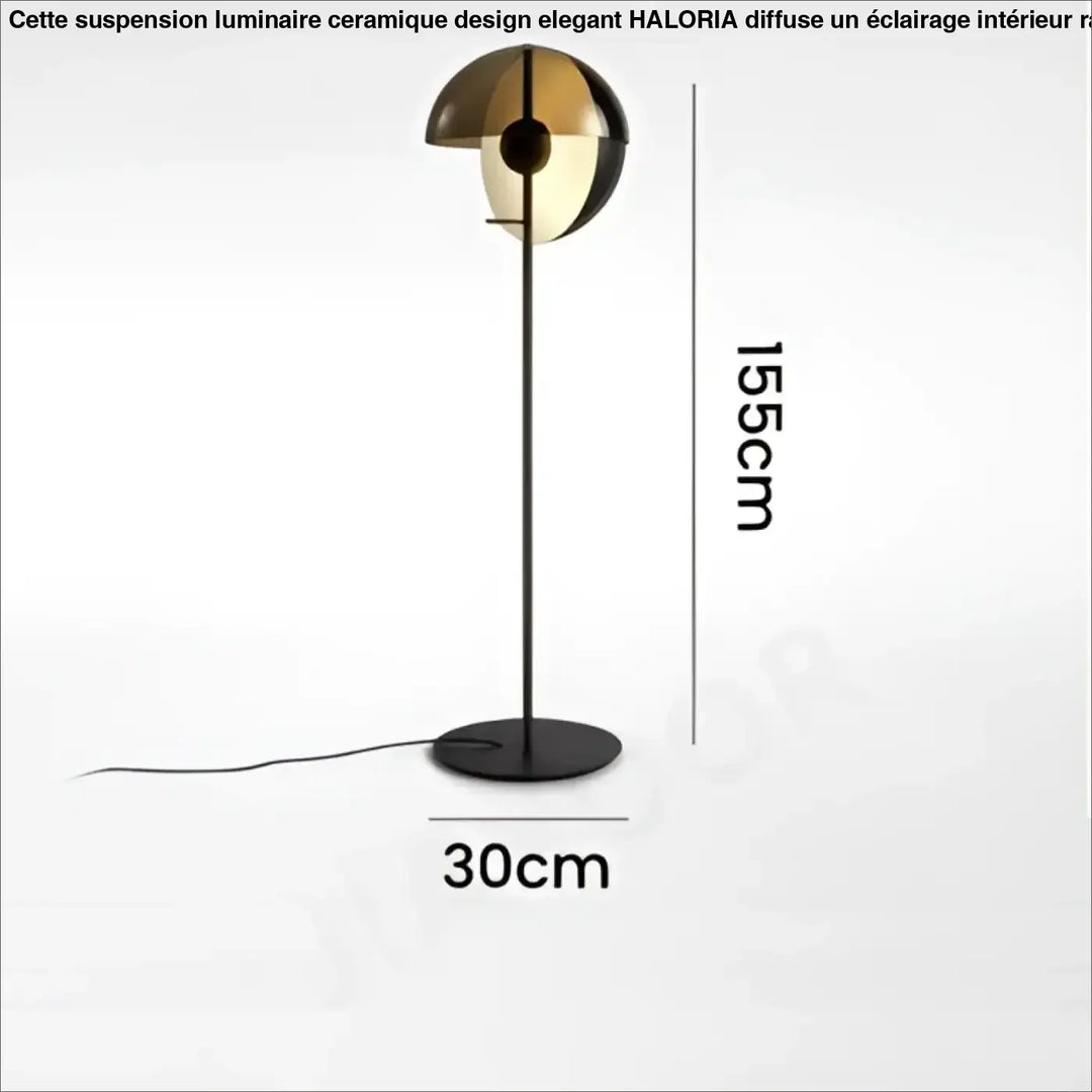 Lampadaire minimaliste noir avec abat jour en verre fumé led