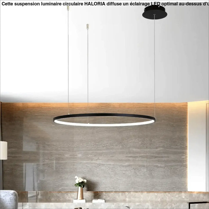 Suspension Luminaire Circulaire LED Anneaux
