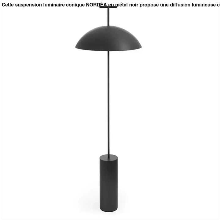 Lampadaire design yum i en finition mate noire avec abat-jour en dôme et base cylindrique pour décoration intérieure plus qu un simple éclairage