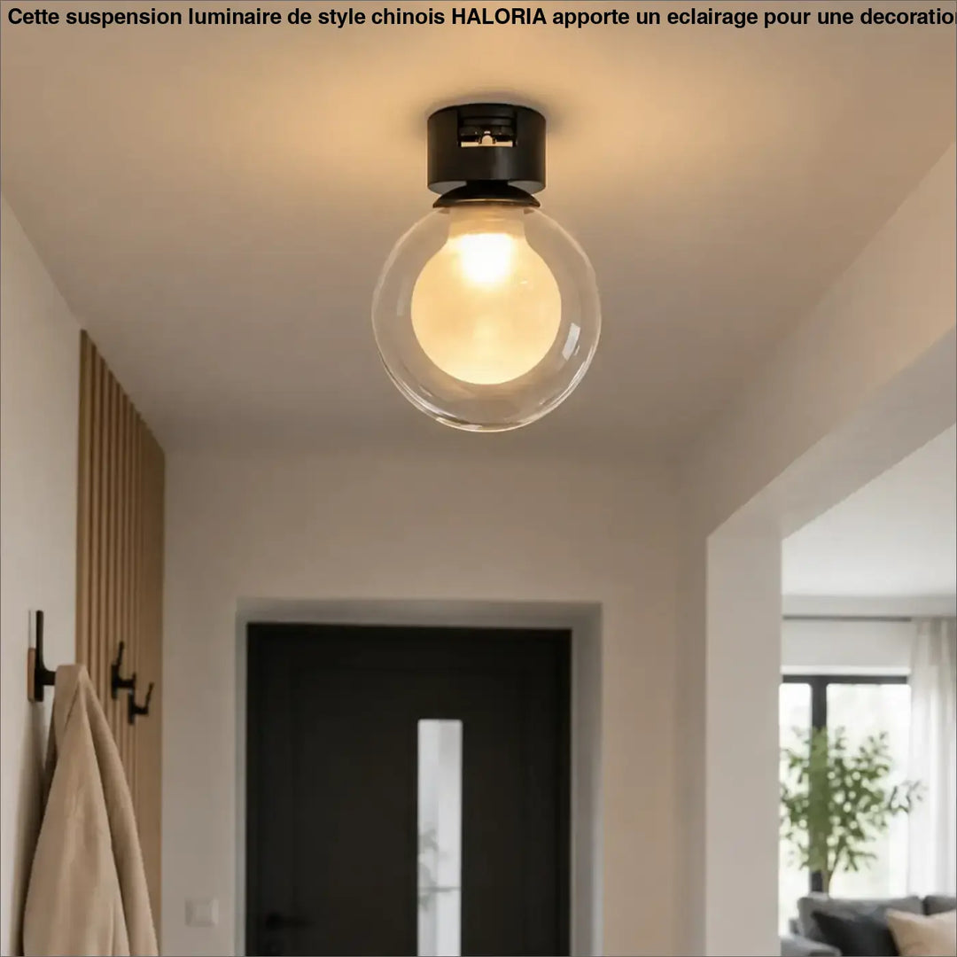 Luminaire plafonnier minimaliste noir avec globe en verre clair et ampoule intégrée modèle acia monté au plafond