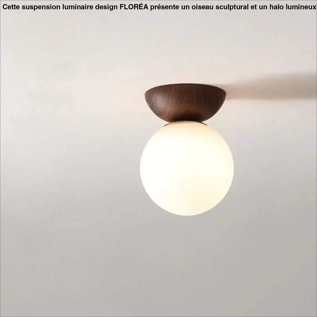 Luminaire plafonnier oako avec base en bois foncé et globe lumineux en verre dépoli pour un plafonnier design épuré