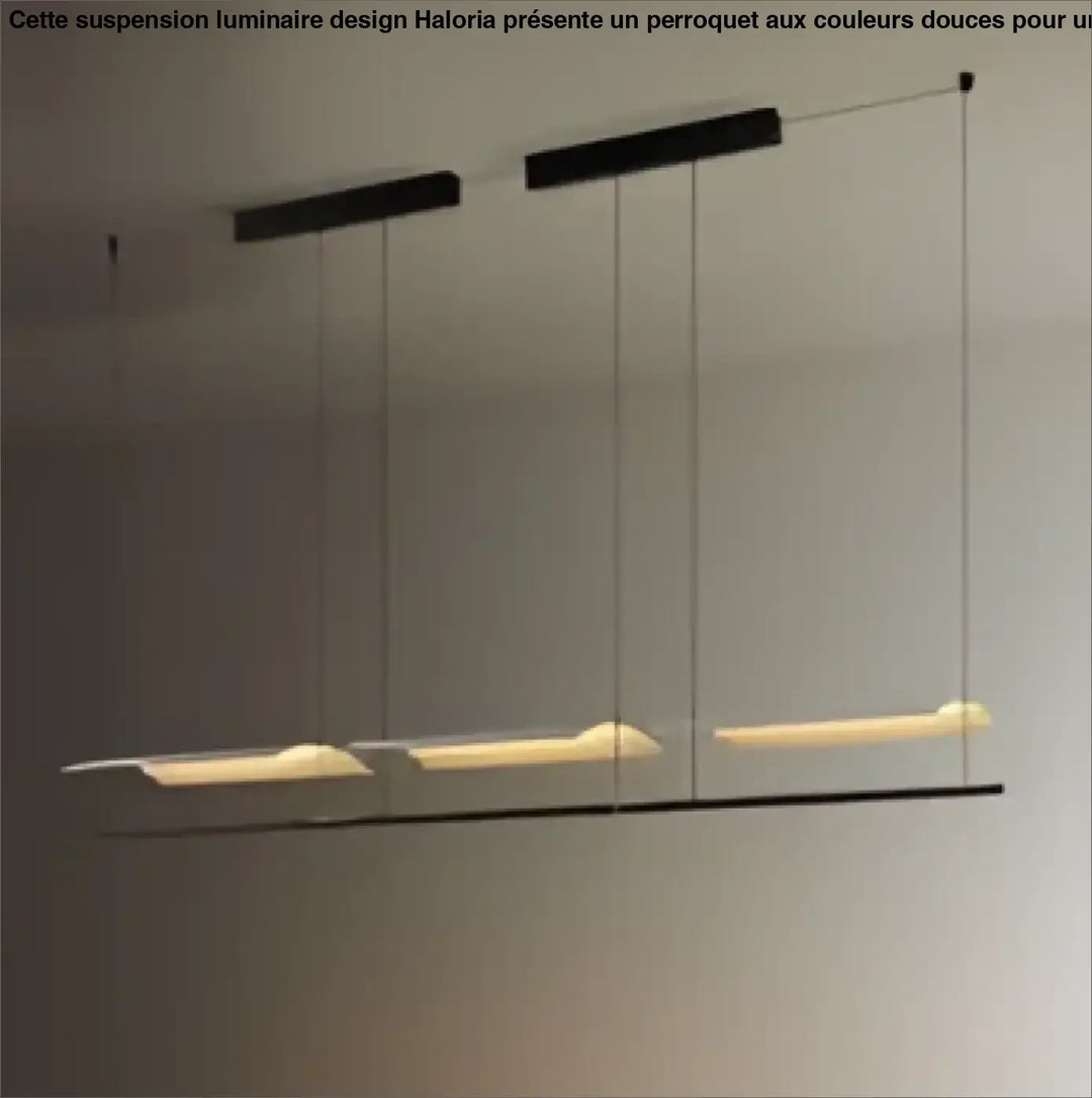 Suspension luminaire soy minimaliste noir avec led blanc chaud idéale pour salle à manger moderne