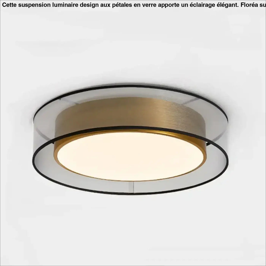 Luminaire plafonnier vadim moderne avec anneau central en or brossé, anneaux extérieurs en acrylique clair et bord noir
