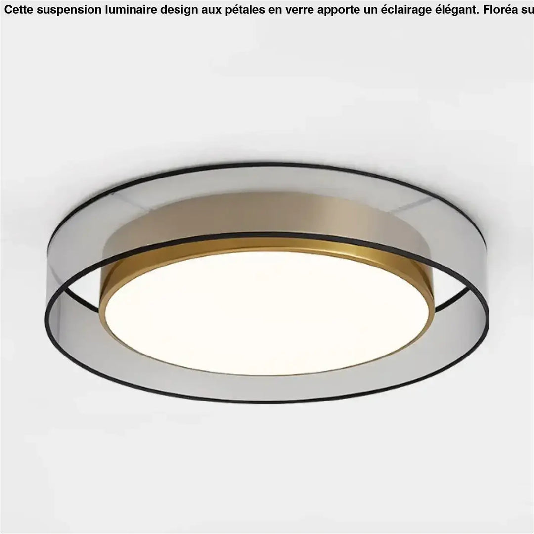Luminaire plafonnier vadim moderne circulaire avec design épuré en or et acrylique transparent