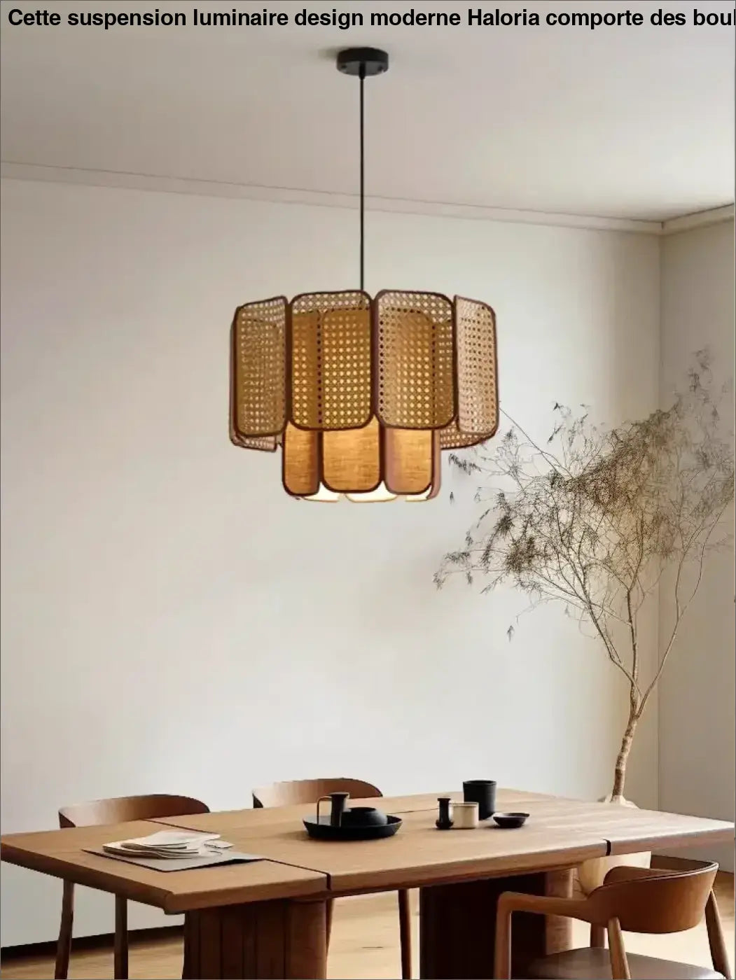 Suspension Rotin Tressé Design Naturel Style Bohème Élégant