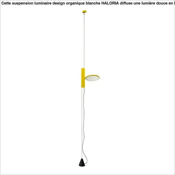 Lampadaire minimaliste colorée style contemporaine