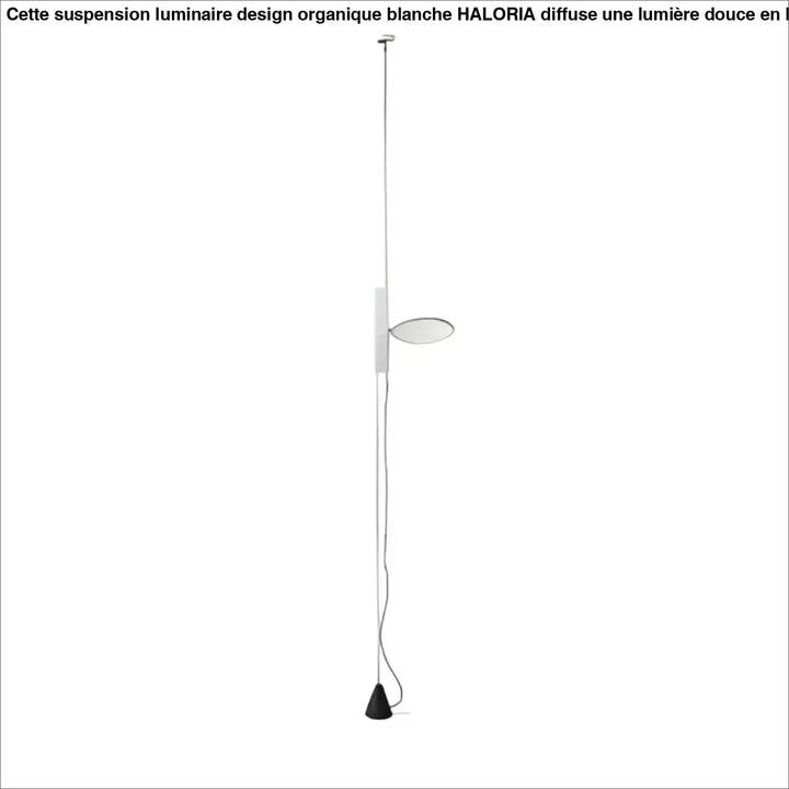 Lampadaire minimaliste colorée style contemporaine