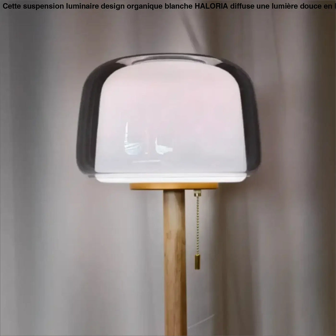 Lampadaire en verre transparent avec tige en bois naturel