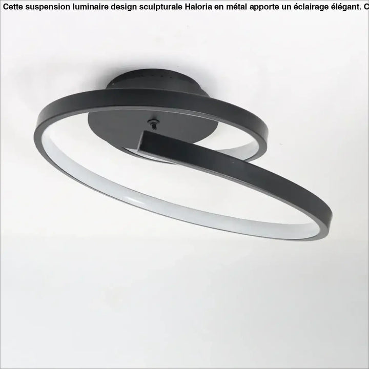 Luminaire design sculpturale suspension luminaire design en métal noir moderne avec éclairage led circulaire élégant haloria