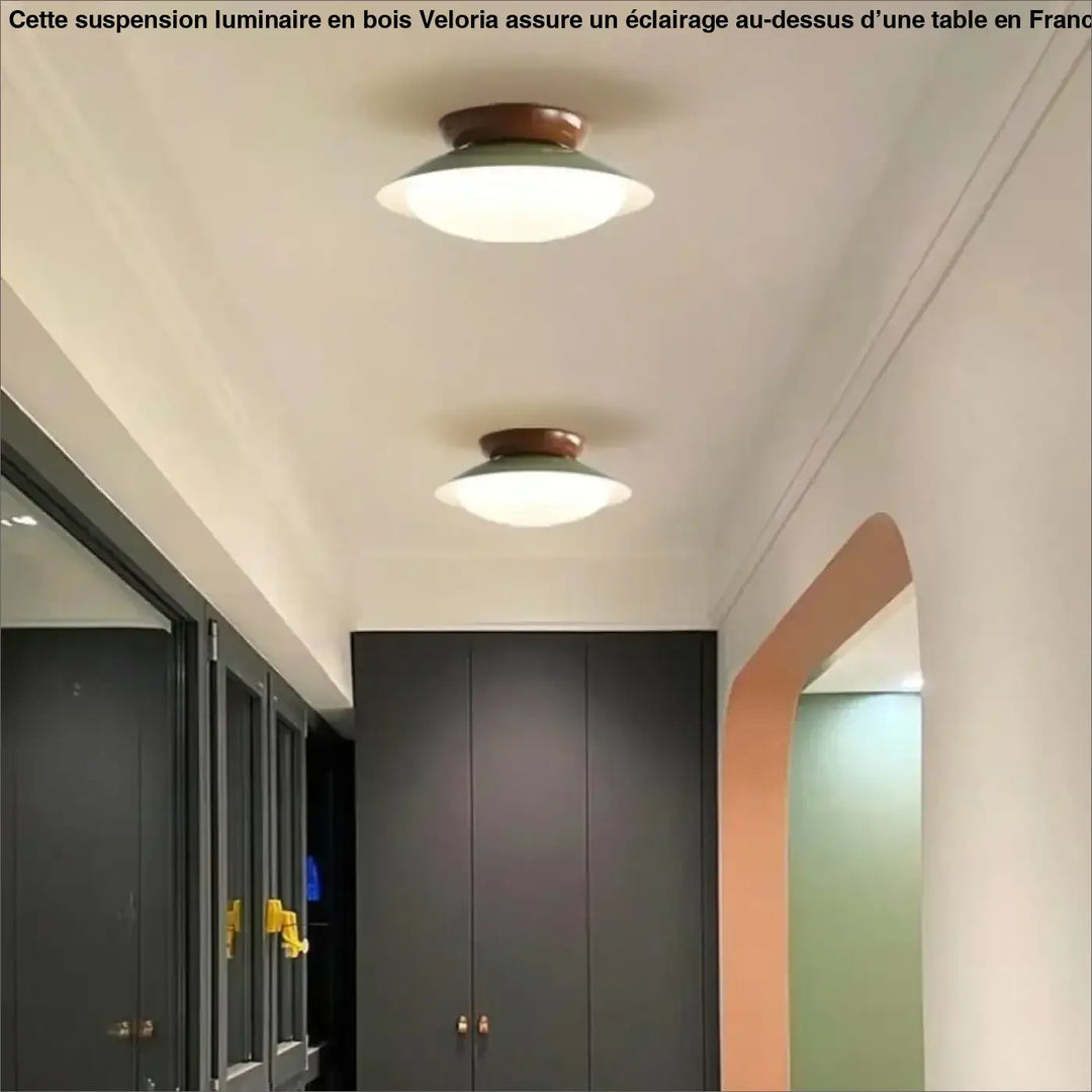 Suspension luminaire moderne design épuré en métal chic