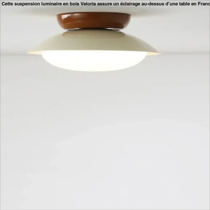 Suspension luminaire moderne design épuré en métal chic