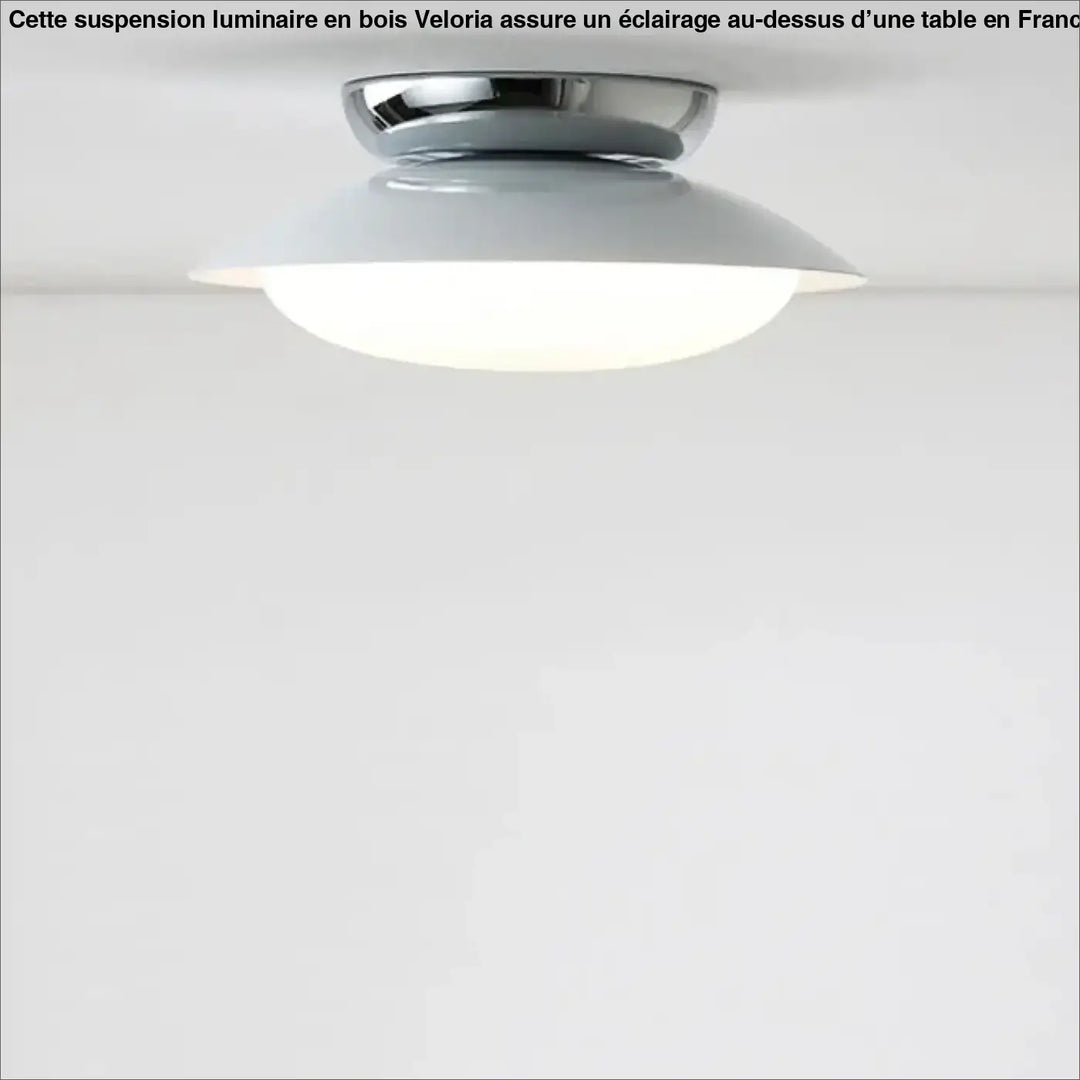 Suspension luminaire moderne design épuré en métal chic