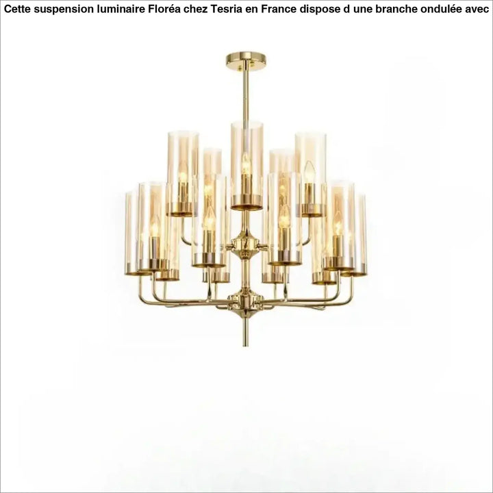 Lustre organisis élégant chandelier doré en verre cylindrique avec ampoules à filament de style nordique