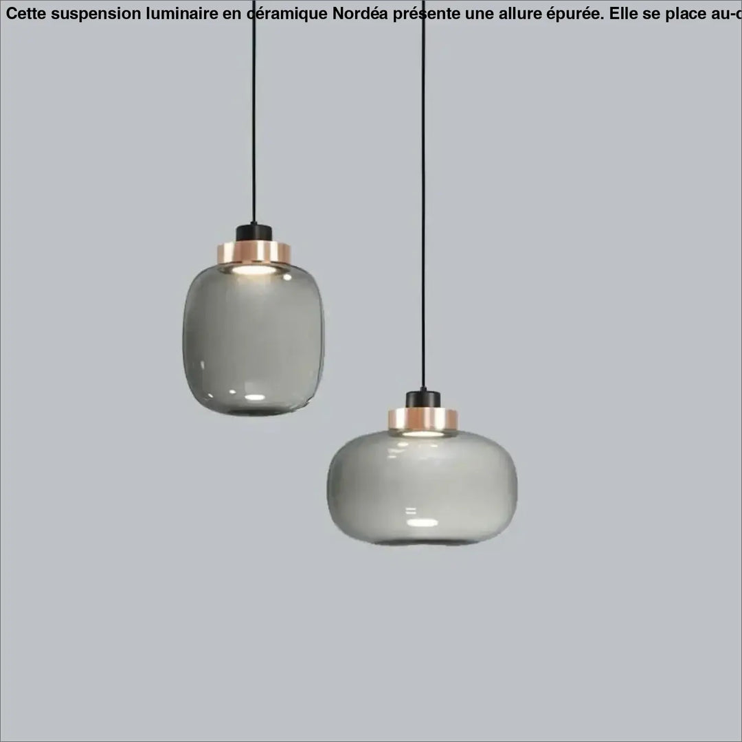 Suspension luminaire mistral avec deux abat-jours en verre gris fumé et accents en rose gold modernes