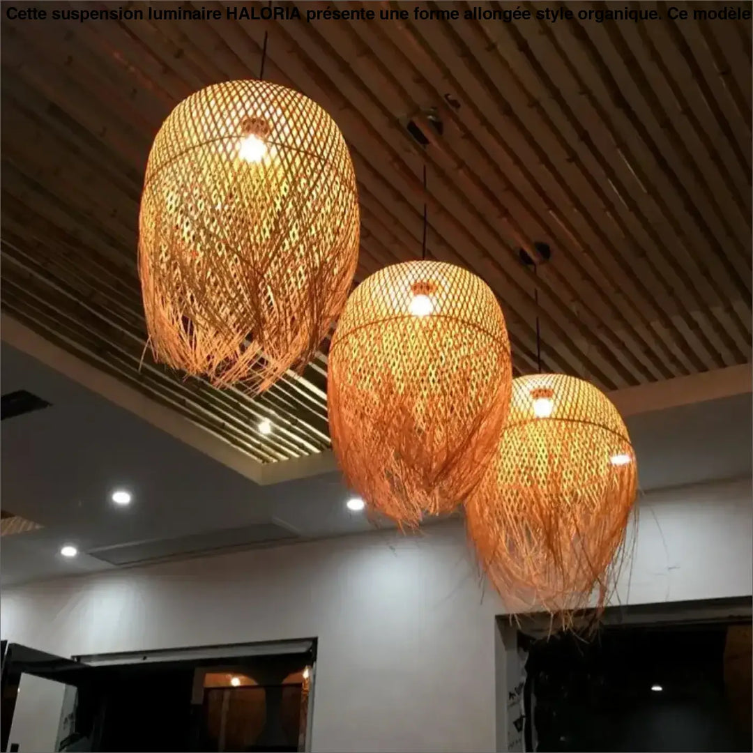 Suspension luminaire en forme allongée style organique et aérien

