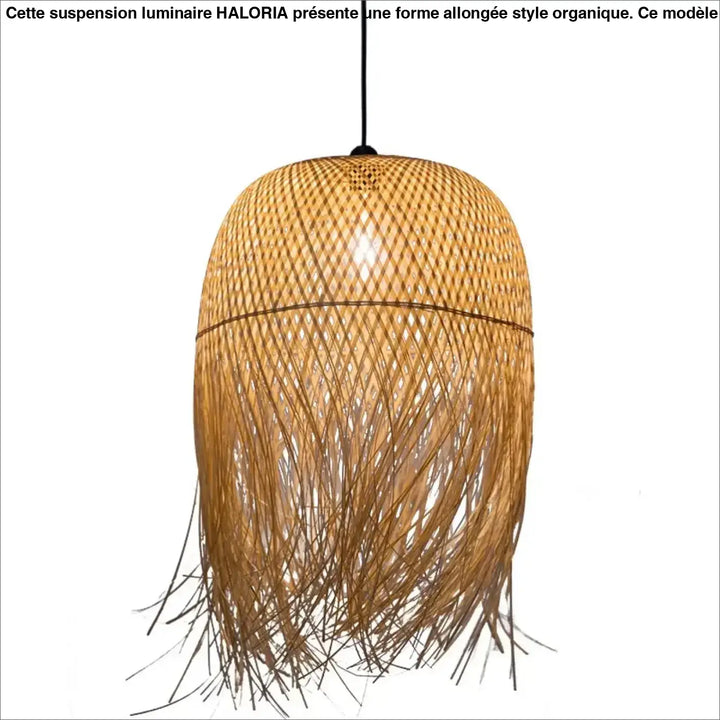 Suspension luminaire en forme allongée style organique et aérien


