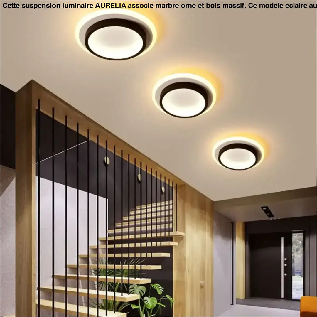 Plafonnier led rond design moderne élégant noir ou doré