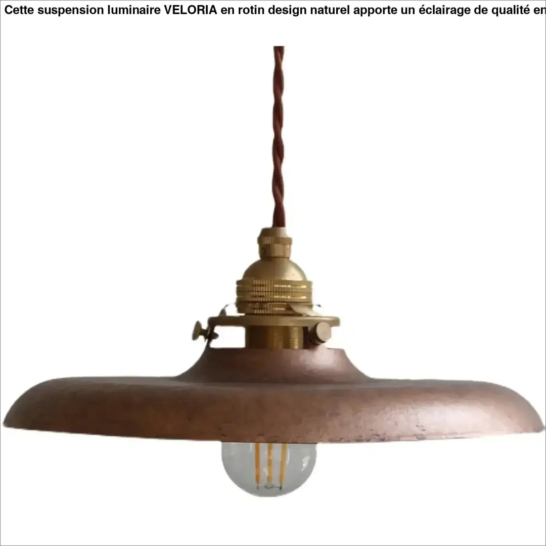 Suspension luminaire vintage en métal avec câble tressé chic
