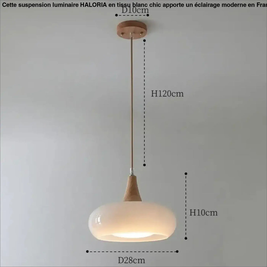 Suspension luminaire moderne minimaliste en verre elégant