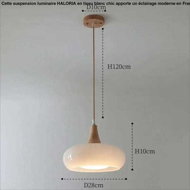 Suspension luminaire moderne minimaliste en verre elégant