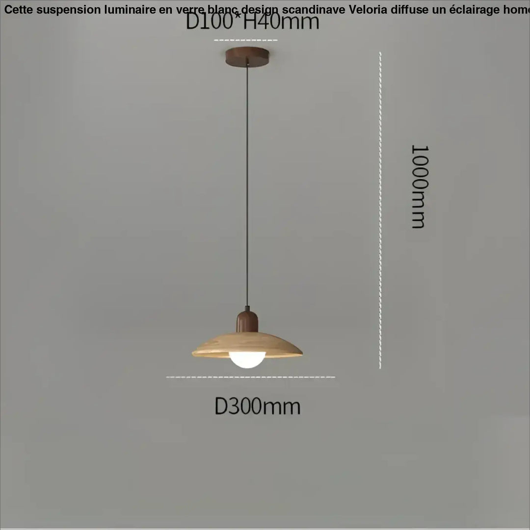 Suspension luminaire contemporain en verre et métal design
