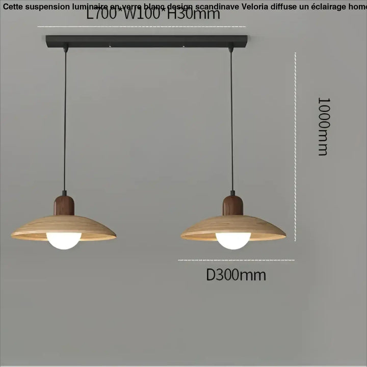 Suspension luminaire contemporain en verre et métal design