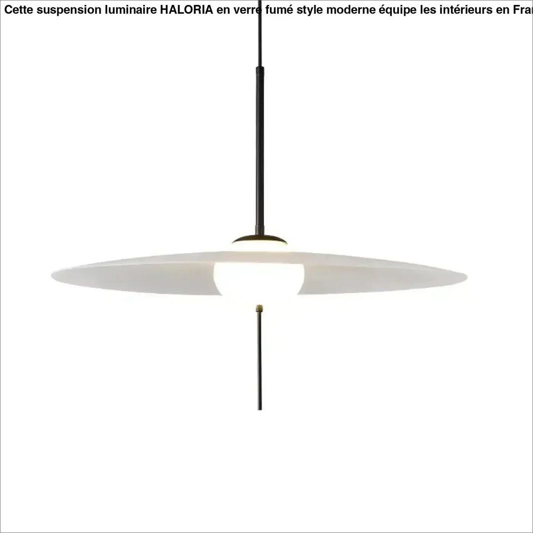 Suspension design minimaliste disque blanc et tige noire moderne