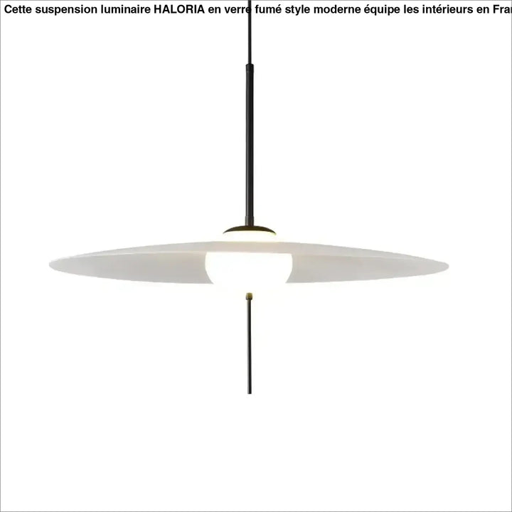 Suspension design minimaliste disque blanc et tige noire moderne