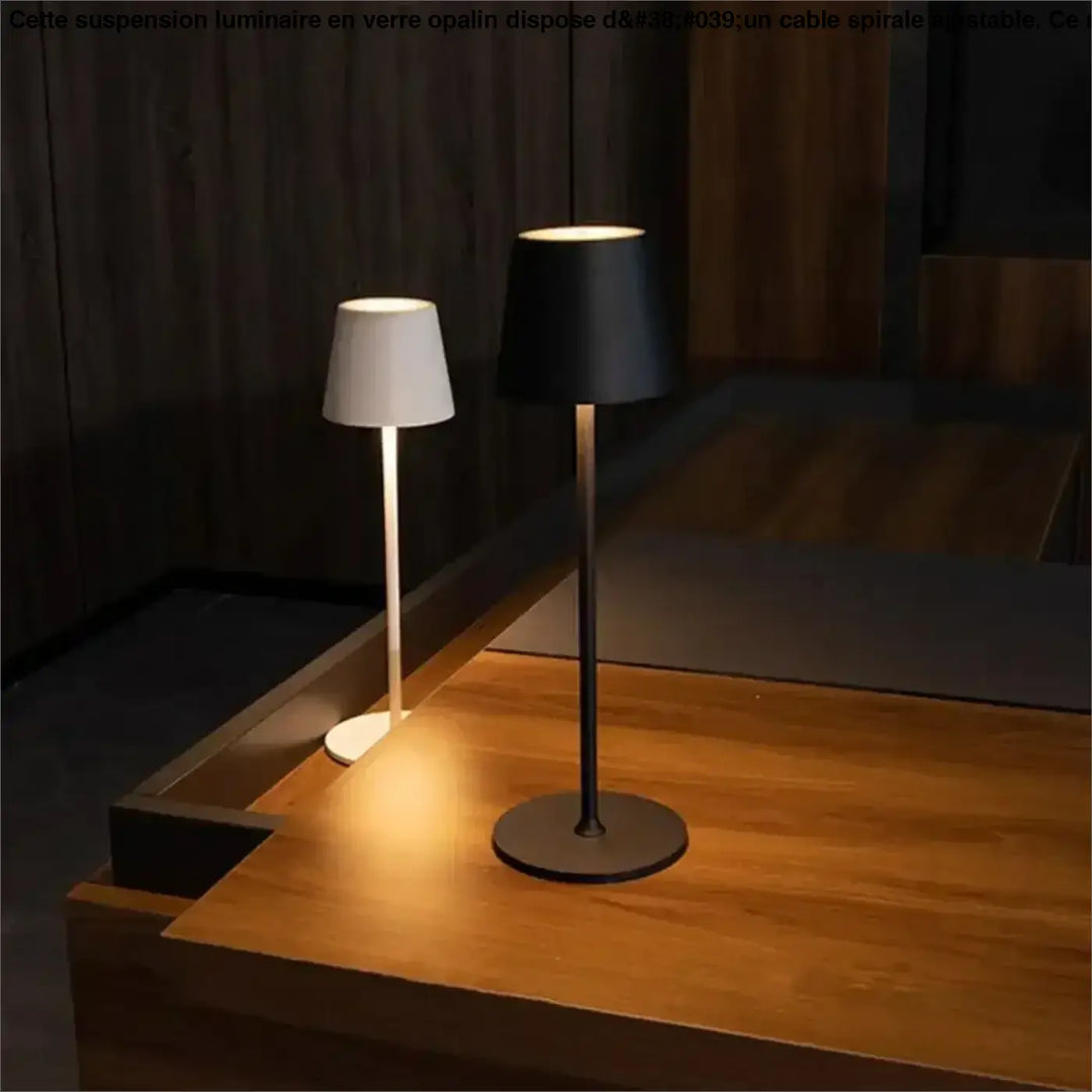 Deux lampes de chevet minimalistes avec abat-jours cylindriques blanc et noir sur tiges métalliques offrent un éclairage doux et une facilité dentretien