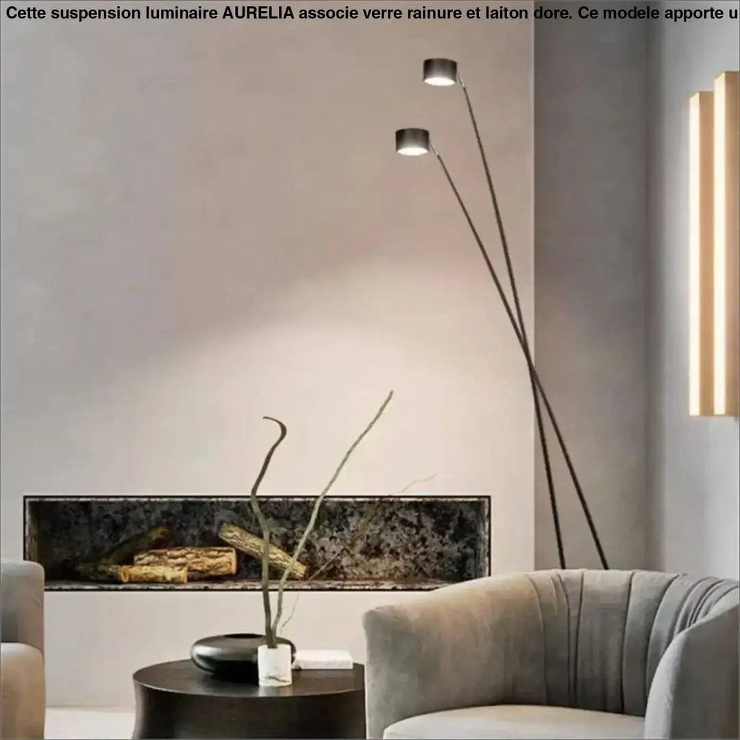 Lampadaire design moderne en fer type noir avec deux bras ajustables et têtes circulaires ajustables nyiris