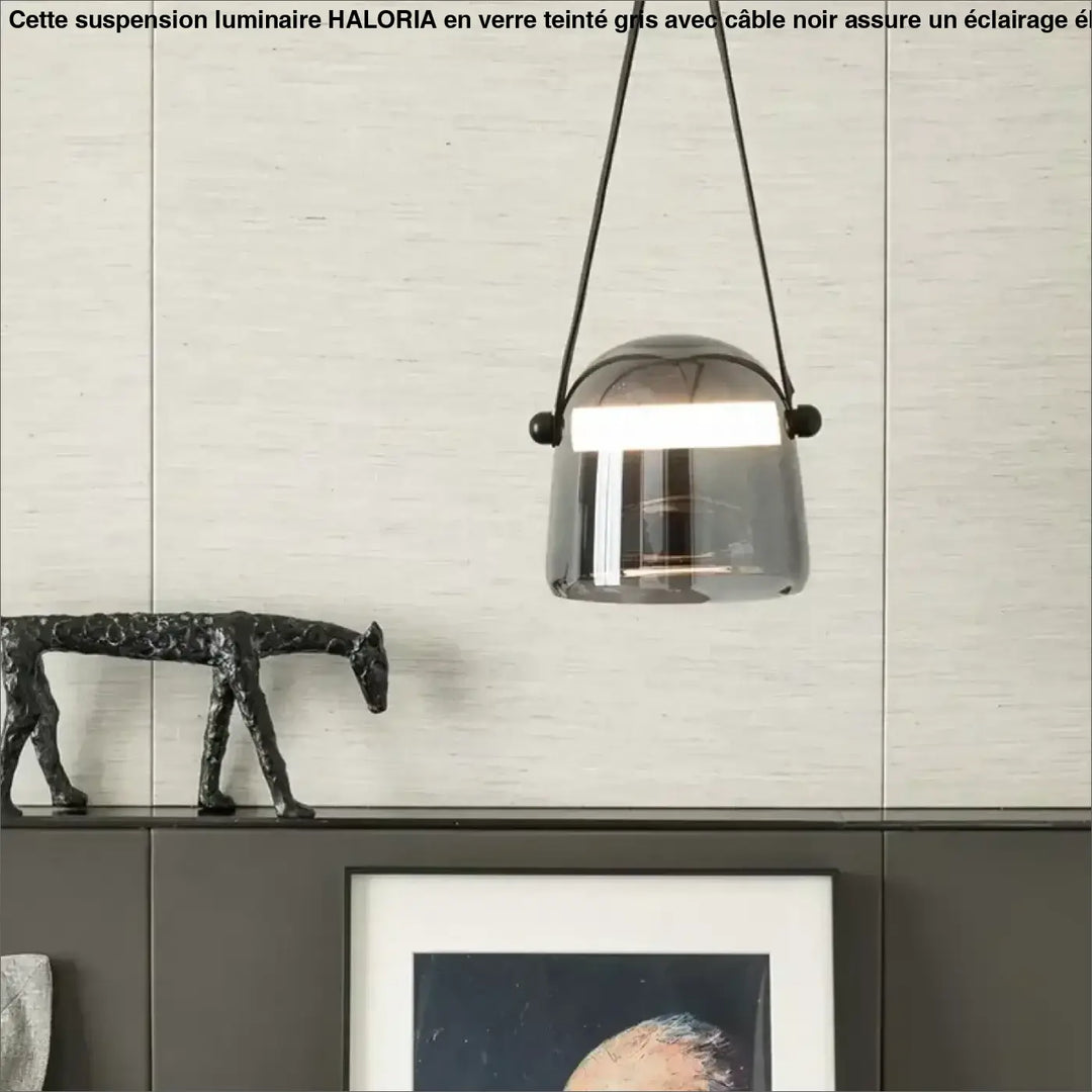 Suspension luminaire en verre teinté gris et à câble noir et original

