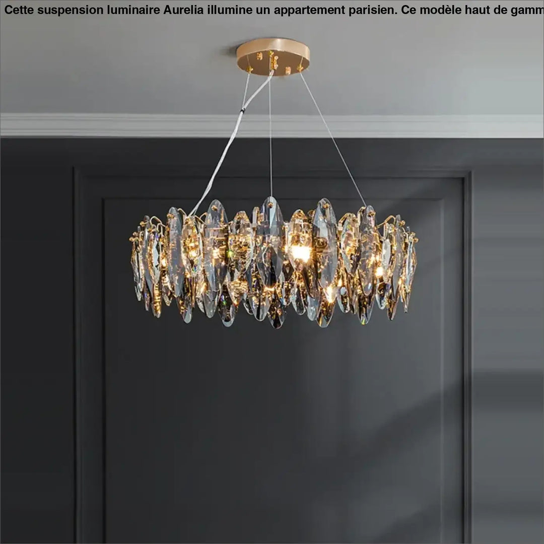 Suspension luminaire haut de gamme pour appartement parisien

