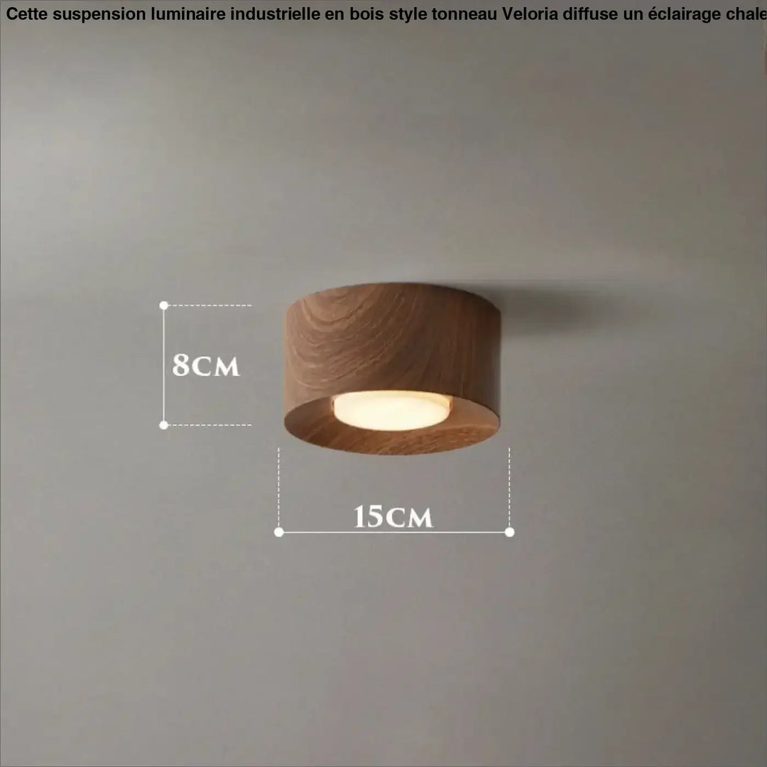 Plafonnier minimaliste avec éclairage led marron chic