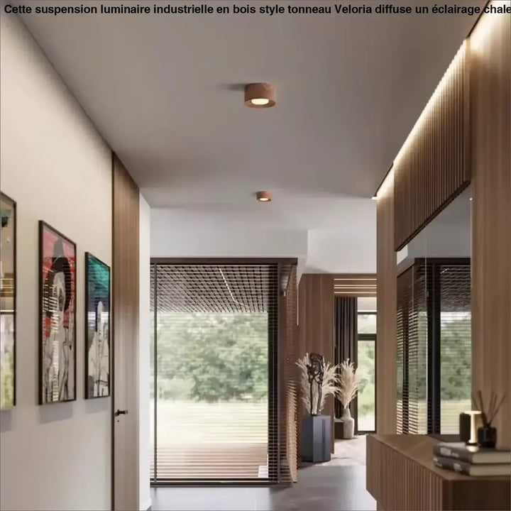 Plafonnier minimaliste avec éclairage led marron chic