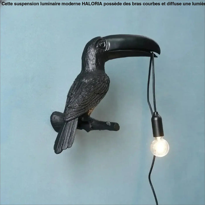 Applique murale design toucan noir avec finition mate texturée et ampoule apparente suspendue au bec design toucan perché