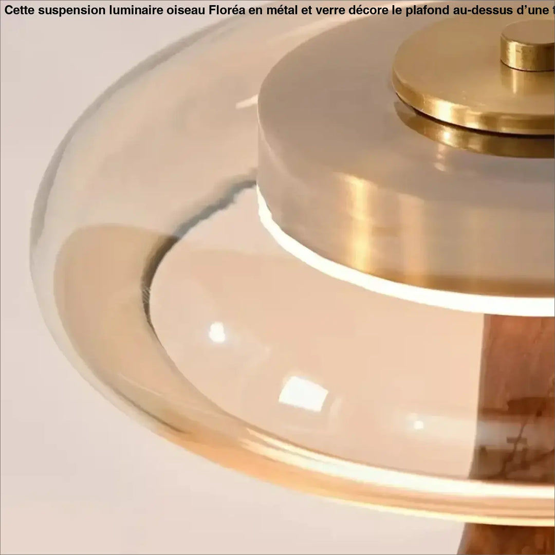 Lampe de chevet baie baobab avec abat-jour en verre translucide et accents en laiton poli idéale pour décoration intérieure chevet rétro plus qu’un luminaire