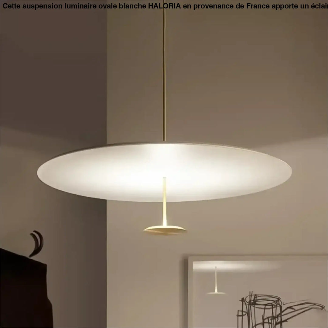 Suspension Luminaire Ovale Blanche Moderne En Aluminium