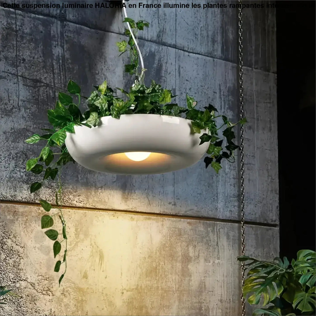 Suspension luminaire pour plantes rampantes d'intérieur

