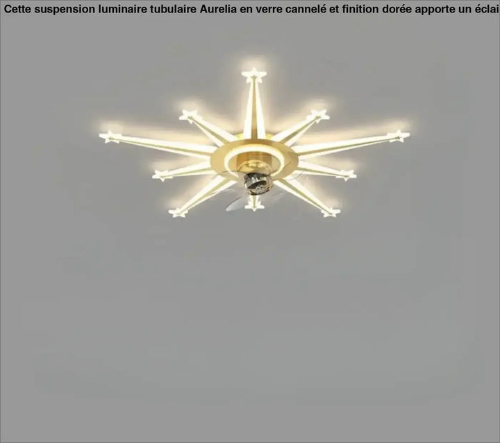 Luminaire plafonnier axiel avec ventilateur étoile doré dont les bras sont éclairés sont-elles incluses