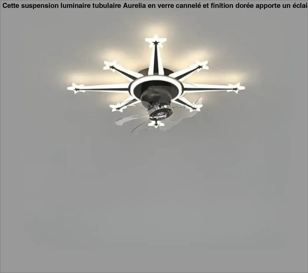 Luminaire plafonnier axiel avec ventilateur de plafond étoile noir et blanc moderne avec éclairage intégré sont-elles incluses