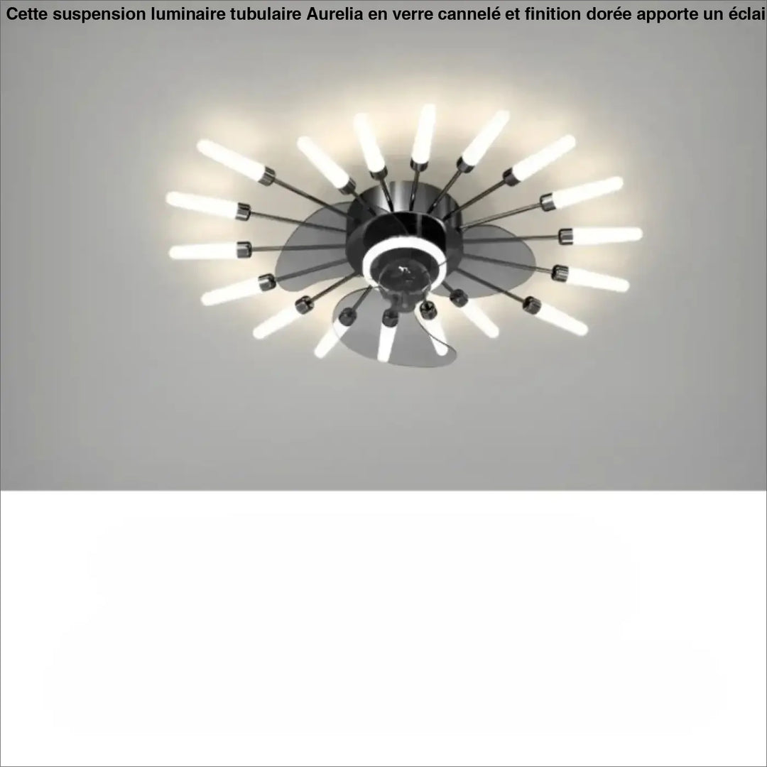 Luminaire plafonnier axiel une moderne lampe de plafond noire avec ventilateur et led intégrées sont-elles incluses