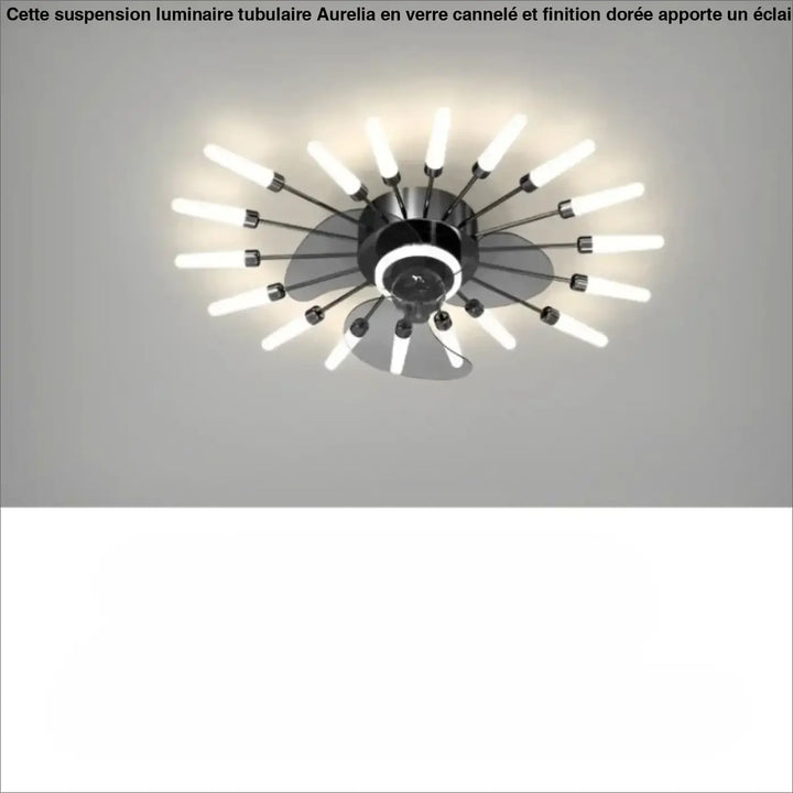 Luminaire plafonnier axiel une moderne lampe de plafond noire avec ventilateur et led intégrées sont-elles incluses