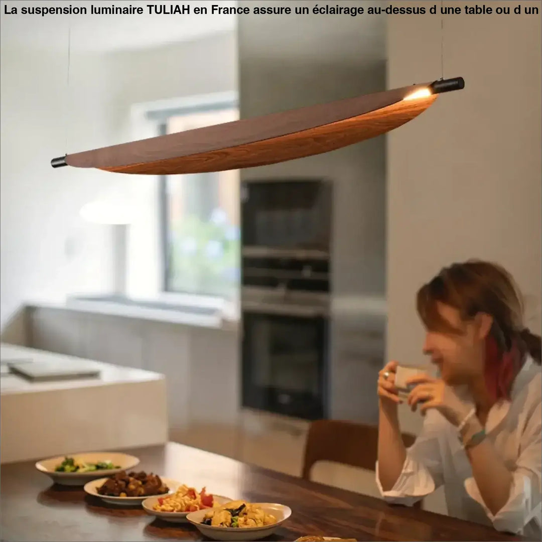 Suspension luminaire fer moderne design contemporain marron